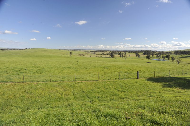 Gray/Chapter 20 Wind Farm in Crookwell/_AEL6557